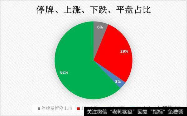 每日个股涨跌表现总览