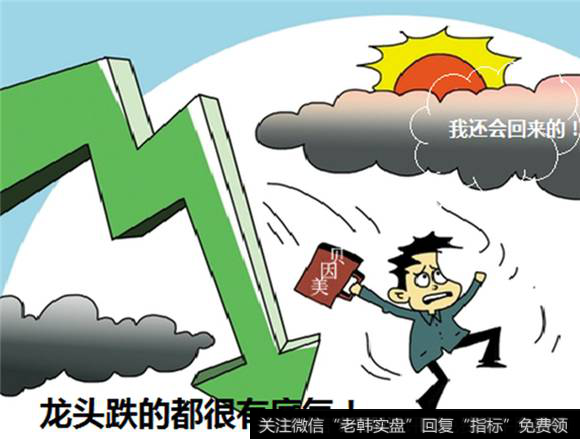 <a href='/gushiyaowen/289750.html'>龙头股</a>下跌