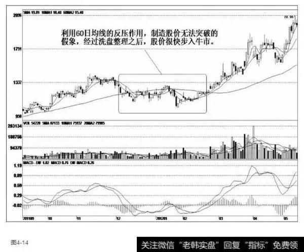 汤臣倍健(300146)