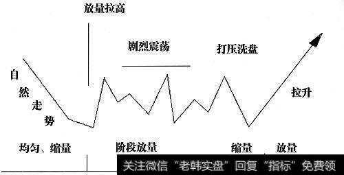 形态示意图