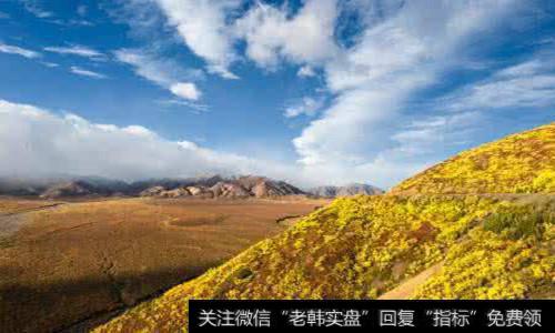 自驾<a href='/gainiangu/'>概念股</a>