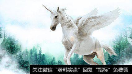 买独角兽基金应该去哪?