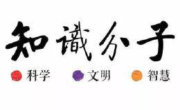 “知识分子”分拆重组成功