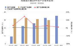 <em>阳普医疗</em>2018年一季报发布，资产负债率42.4%