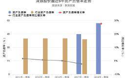 清源股份2018年一季报发布，资产负债率56.91%