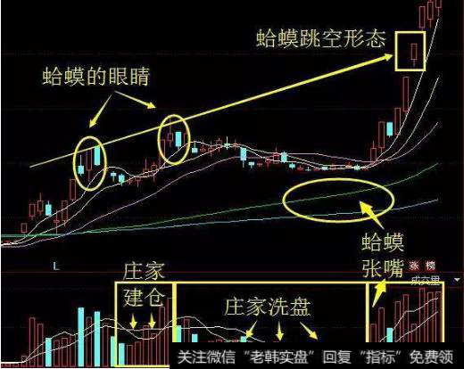 散户炒股在什么情况下必须要抛？散户基本选股技巧有哪些？