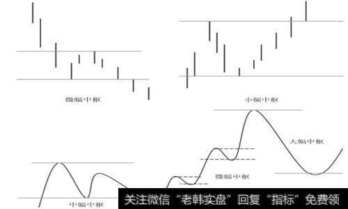 中枢的级别