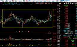 <em>威华股份</em>，坐庄期长达一年，主力够有耐心