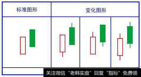 散户K线基本功