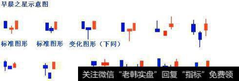 形态变种