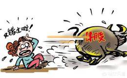 2018年已经过去一半，那么A股上半年可以称得上牛股的有哪些？