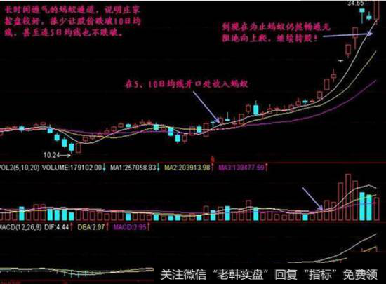 蚂蚁上树短线买入形态