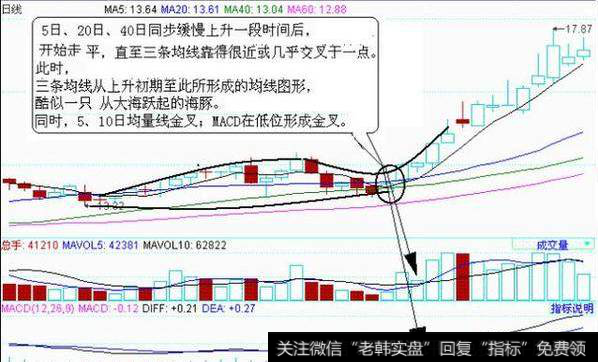 我们<a href='/cgjq/289656.html'>炒股</a>如何理解海豚嘴形态？一、什么是海豚张嘴？