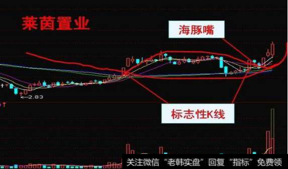 海豚嘴形态怎么运用？案例展示：莱茵置业