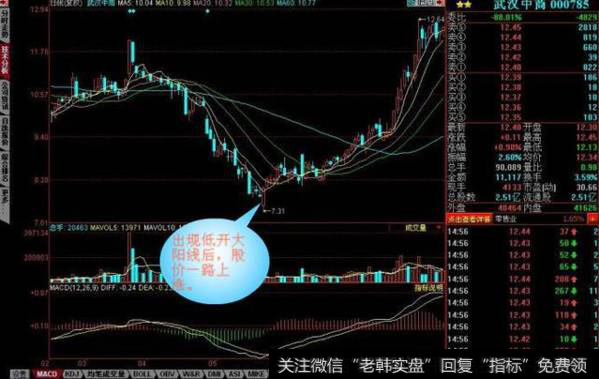 K线的形态图解之低开大阳线