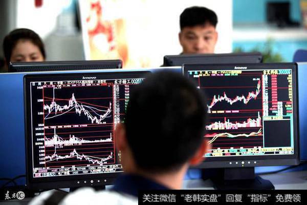 <a href='/ztbfp/251397.html'>易见股份</a>(600093)