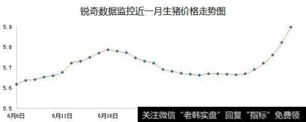 锐奇数据