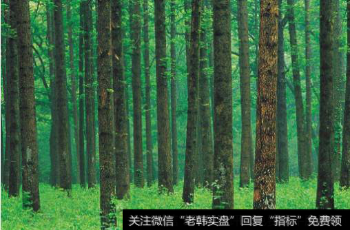 高层致信生态文明重磅会议,林业题材<a href='/gainiangu/'>概念股</a>可关注
