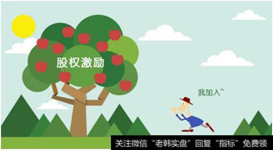 股权激励