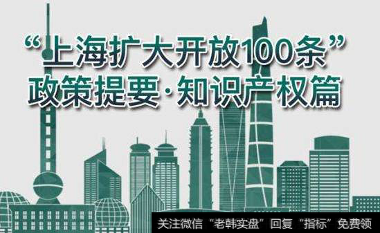 上海扩大开放100条