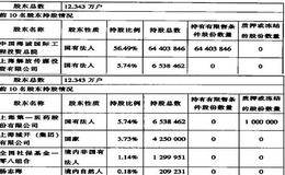 上市公司所有者股权结构如何分析？