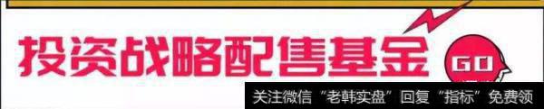 战略配售基金的定义。