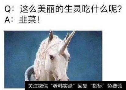 6只独角兽基金之间有什么差异？