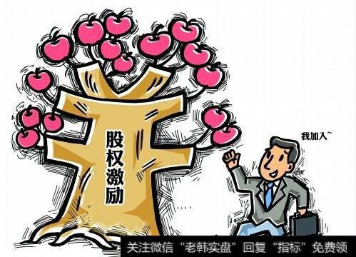 公司给产品经理发放股权，是因为什么？