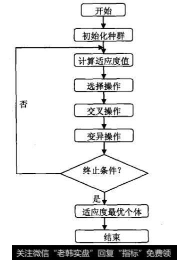 遗传算法流程