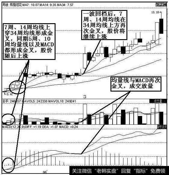 熊猫烟花(600599)