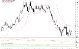 支撑位处待指引，至暗时刻还是曙光初现？