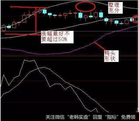 鸭下嘴入场型老鸭头