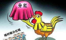 世界上哪些国家股市分红不除权？