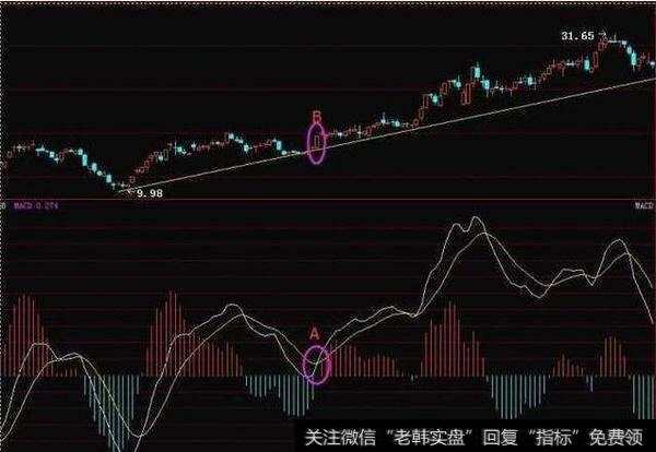 雏雁高飞