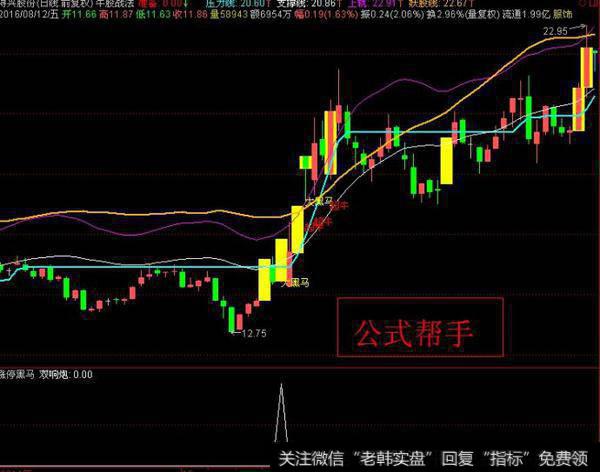 起爆黑马选股公式