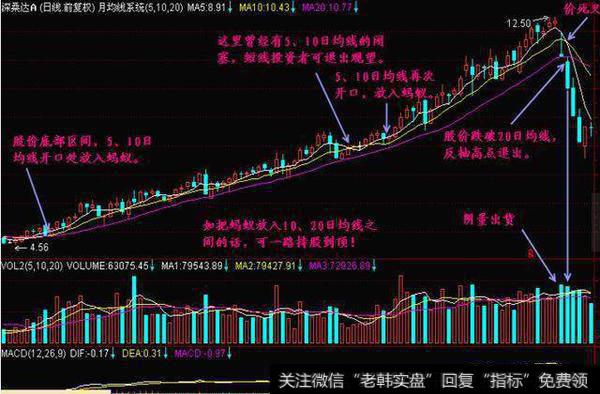 “蚂蚁上树”的技术形态特征