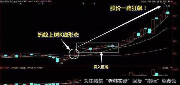 “蚂蚁上树”最佳买入机会