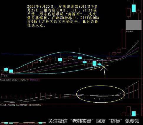 实战案例：G美都