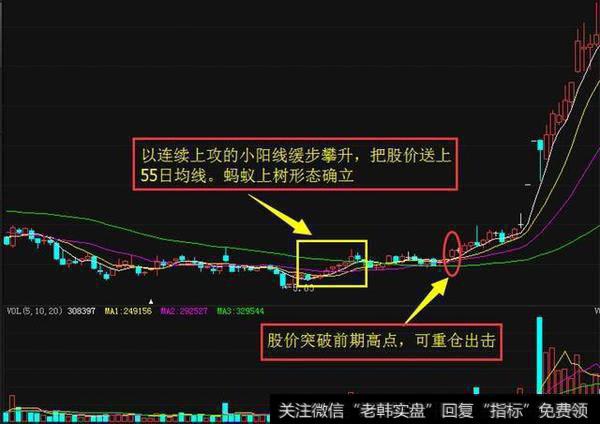 如何使用“蚂蚁上树”选股法稳骑大黑马？附选股公式