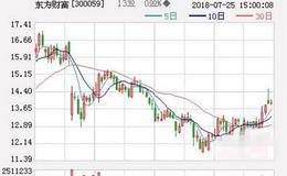 东方财富通技术指标分时DDX