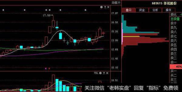 龙头股票发行价