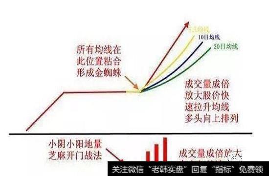 “金蜘蛛”选股技巧