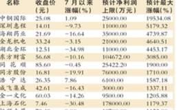 低价龙头绩优股的国企改革，最确定的收益（附股）
