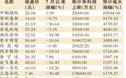 低价龙头绩优股的国企改革，最确定的收益（附股）