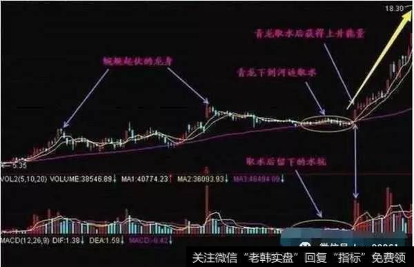 青龙取水飞黄腾达