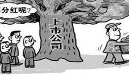 上市公司与资本公积金、转增股有何联系？