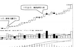 游资战法揭秘，教你如何选择实力游资入驻的股票