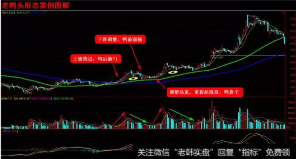 波浪与老鸭头