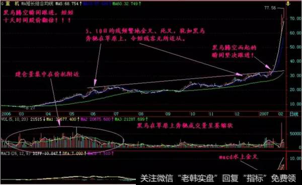 黑马草上飞