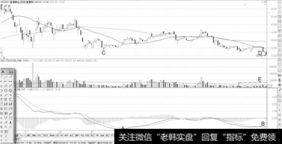 海登种业日K线图